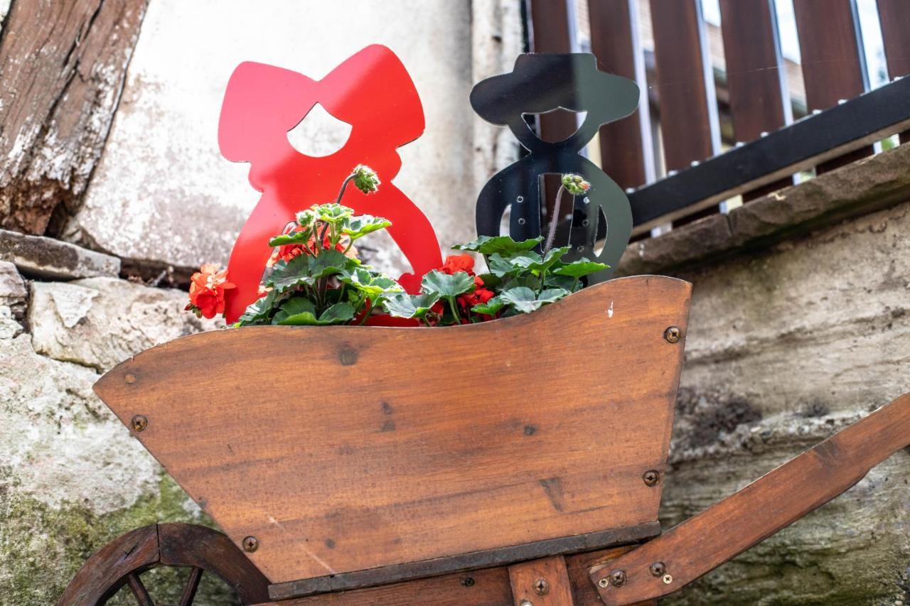 Gite Le Coeur D'Alsace Boofzheim Екстер'єр фото